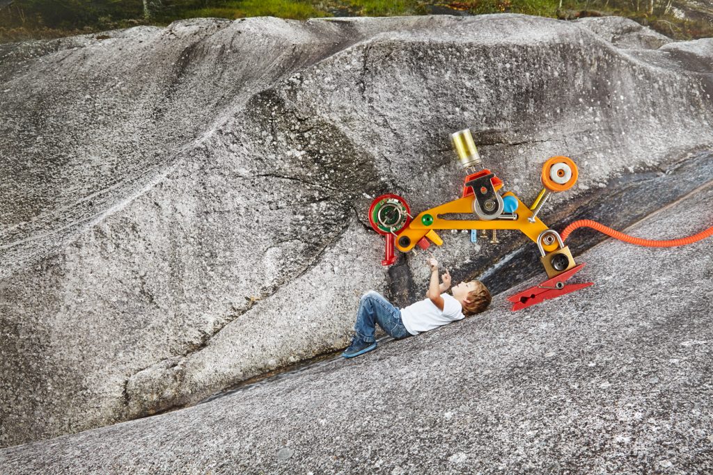 image from The Blueberry Machine